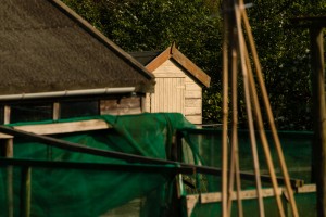 Allotments May 12 2016 - 14  