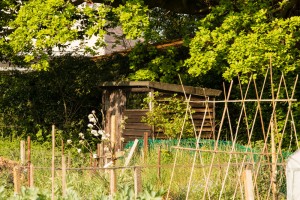 Allotments May 12 2016 - 16  